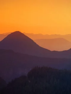 nature, природа