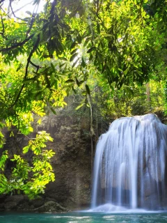 trees, , landscapes, nature, waterfalls
