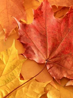 2013, nature, 2, природа