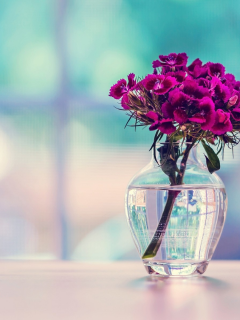 , flowers, tables, water, glass