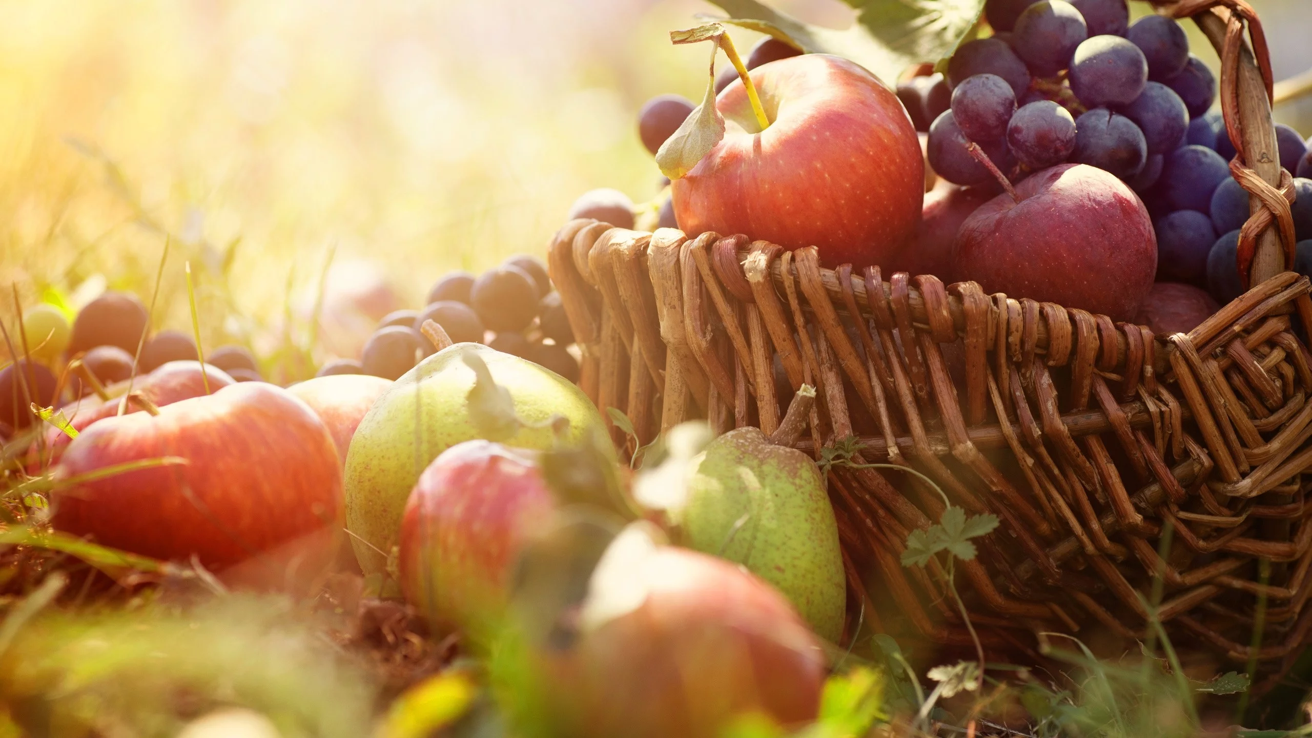 fruits, фрукты