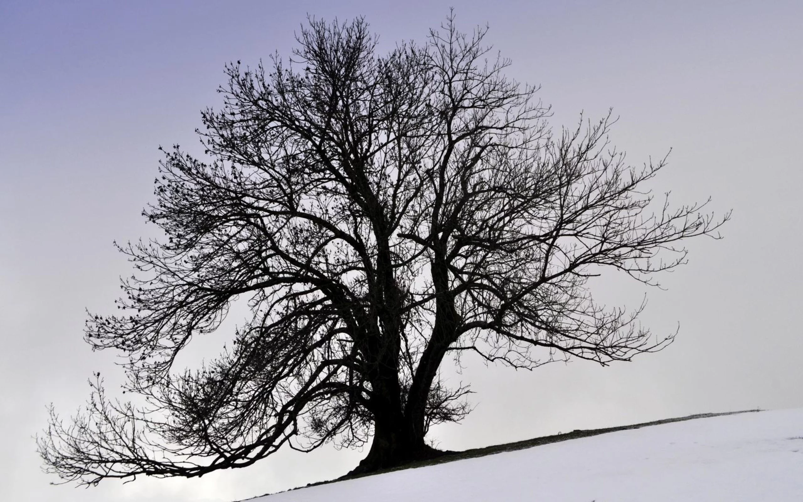 природа, nature