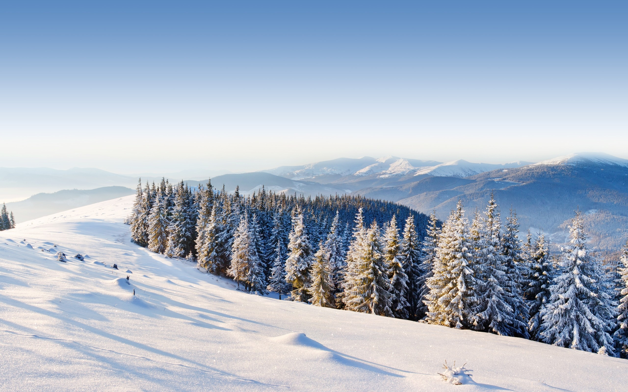 forest, winter, ice, moutain, mountains, snow, , trees, day