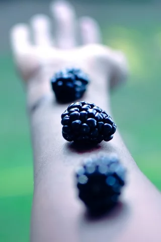 arms, ягоды, blackberries, ежевика, hands, berries, глубина резкости, оружие, руки, фрукты, fruits, depth of field