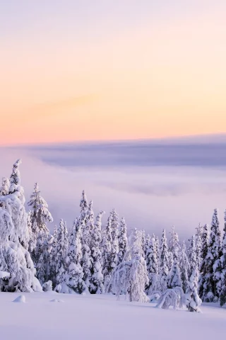 , ice, snow