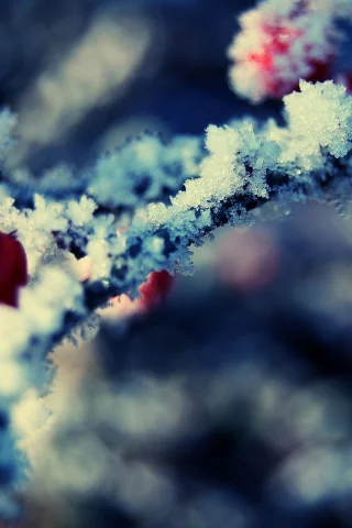 снег, snow