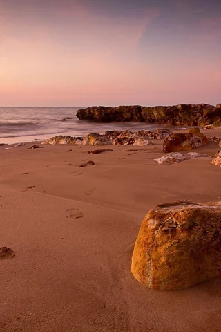 seascapes, 