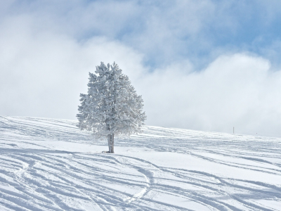 зима, winter