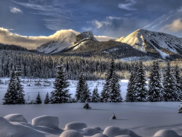 nature, природа