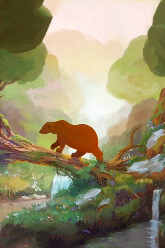 , bears