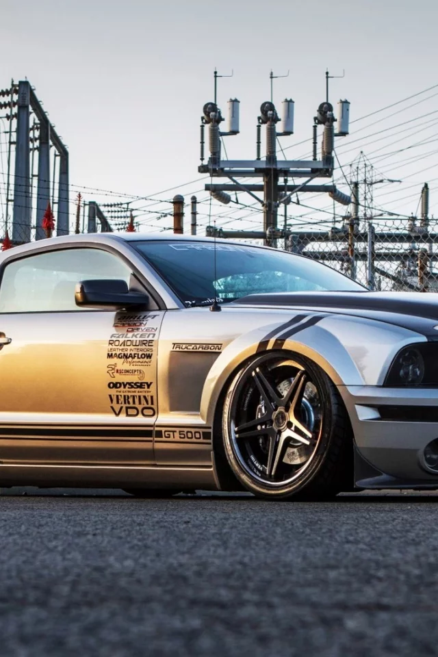 GT 500, GT500 KR, GT 500 Supersnake, Ford, cars, gray, Shelby, Ford Mustang, серый, автомобили, black, Shelby GT500, черный, Ford Mustang Cobra, GT 500 SuperSnake