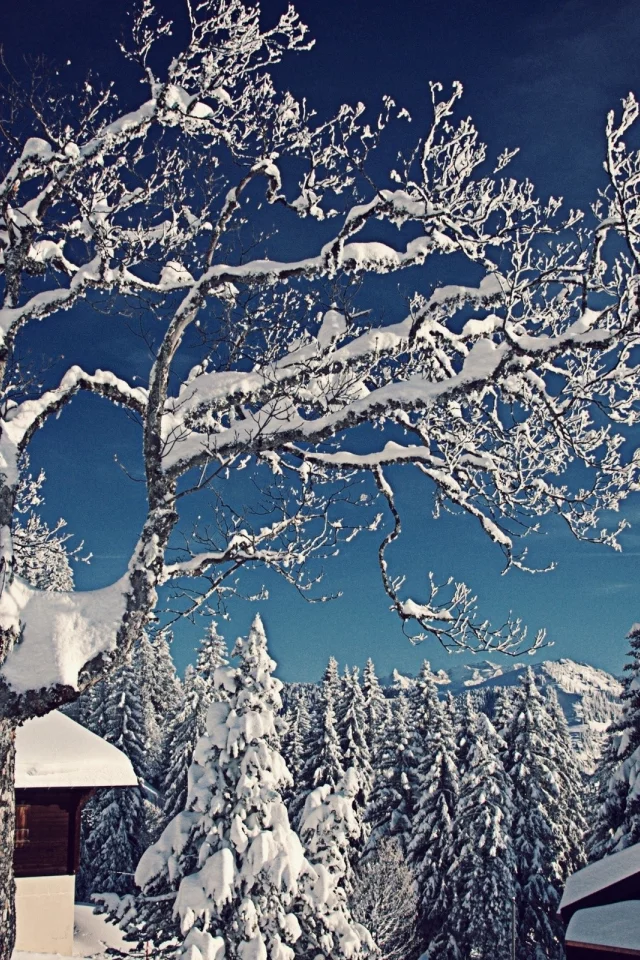 2, nature, 2013, природа