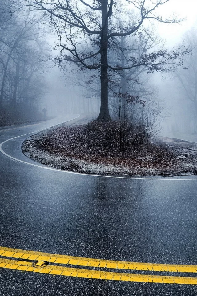 turn, roads, mist, , roadside