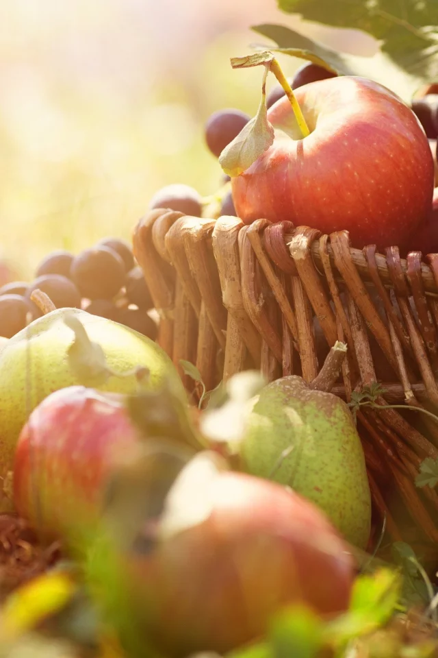 fruits, фрукты