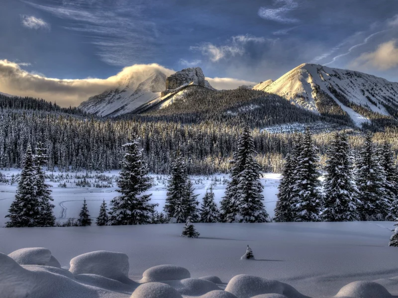 nature, природа