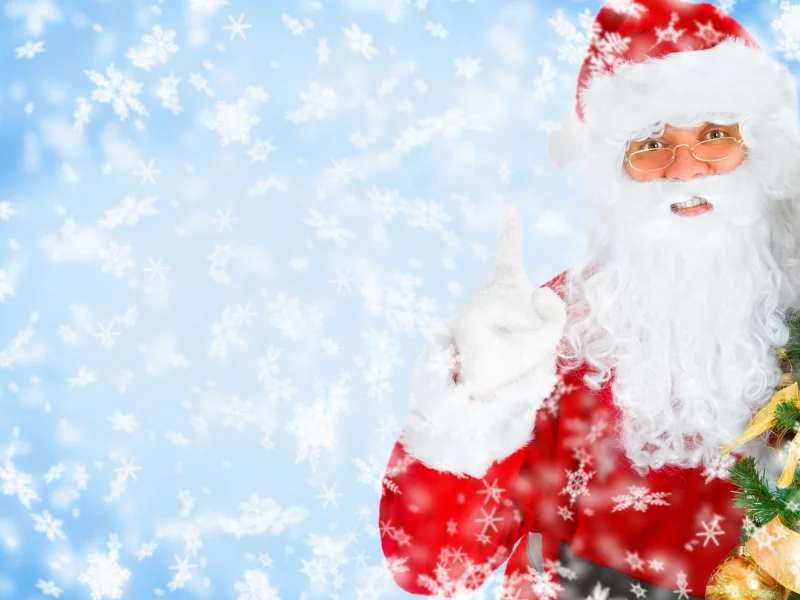 Santa Claus, , 2013, New Year
