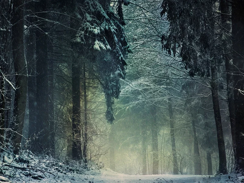 winter, 
