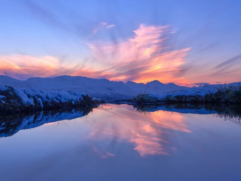 природа, nature