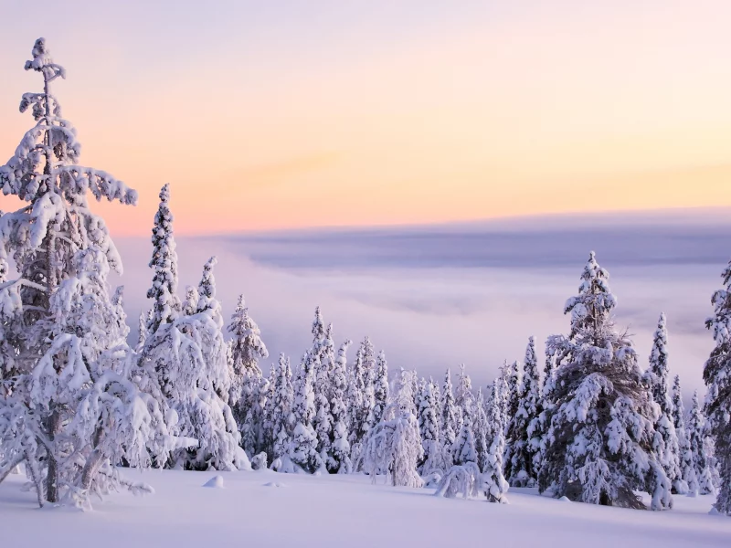, ice, snow