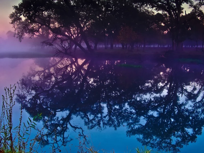 nature, пышные, природа, sunset, trees, закат, water, деревья, вода, curvy