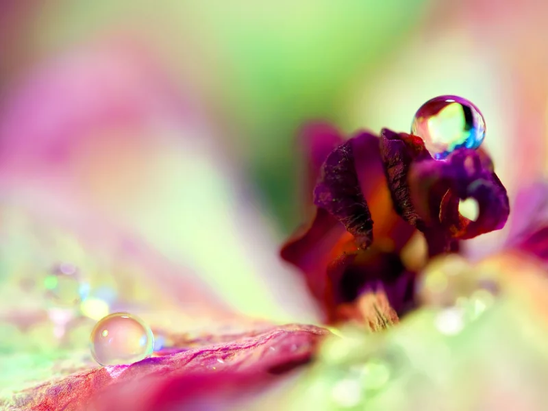 macro, макрос