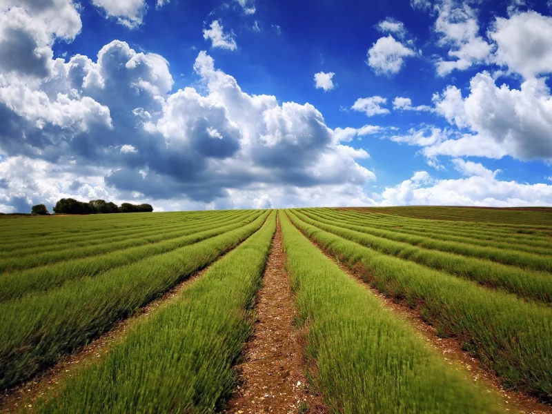 clouds, fields, 
