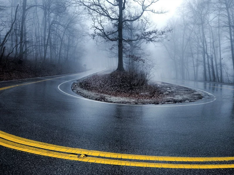 turn, roads, mist, , roadside