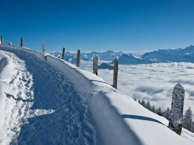 зима, winter