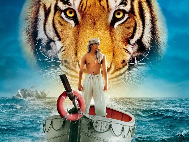 animals, Жизнь Пи, мужчина, тигры, небо, movies, корабли, животные, Life of Pi, океан, skies, ships, шторм, фильмы, boats, вода, ocean, Indian, Индия, The Man, tigers, water, storm, лодки