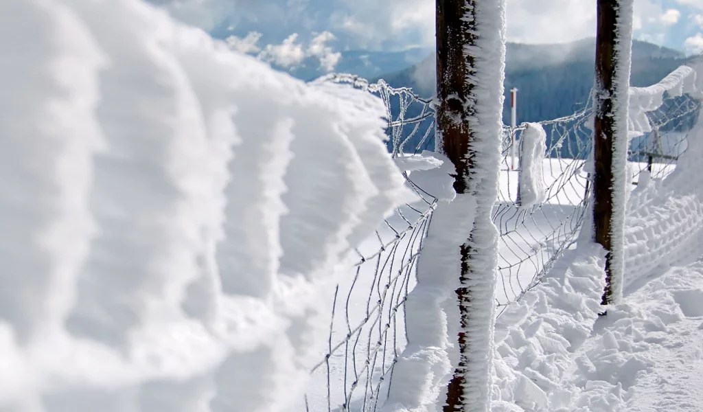 chain link fence, snow, заборы, close-up, fences, снег, макро, забор звено цепи
