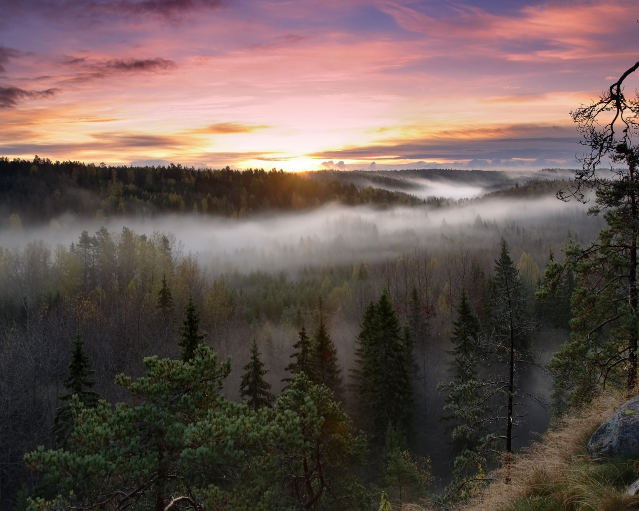 лес, финляндия, утро, восход, туман, finland, Noux national park