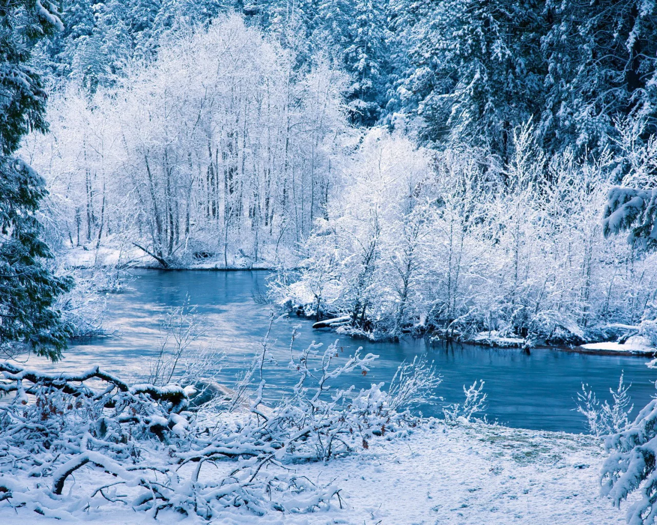 деревья, речка, лес, зима, Природа, снег