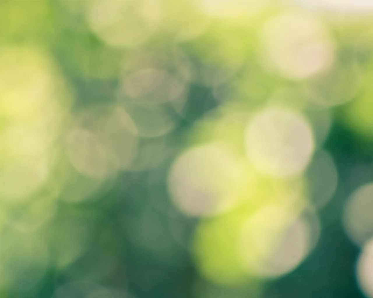 bokeh, блики, Green