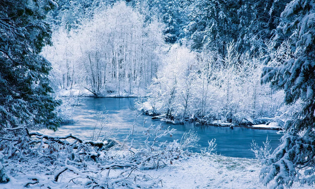 деревья, речка, лес, зима, Природа, снег