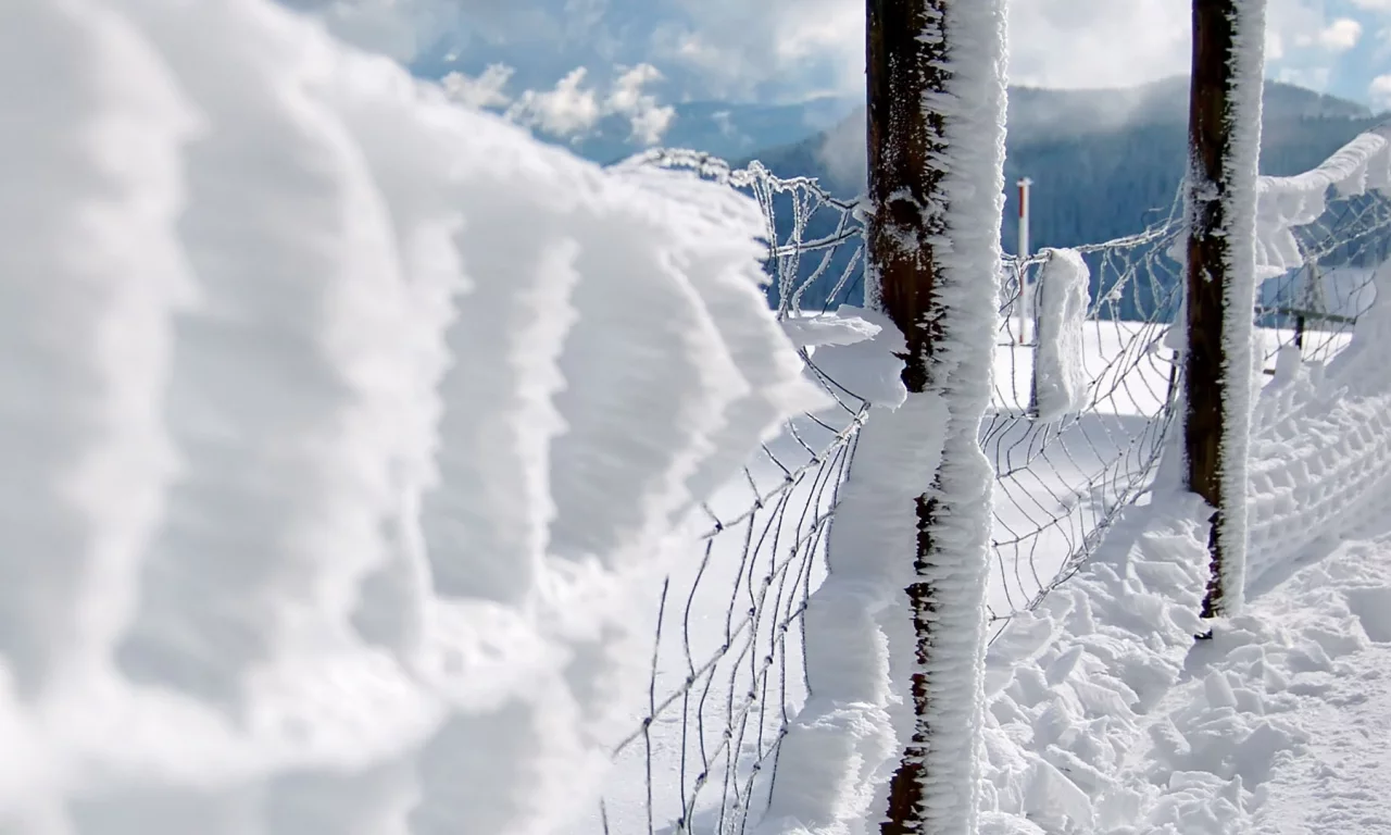 chain link fence, snow, заборы, close-up, fences, снег, макро, забор звено цепи