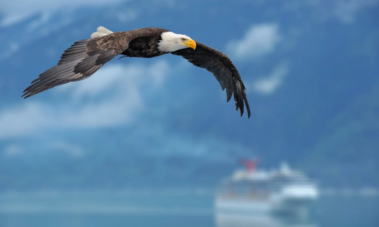 фон, eagle, background, wings, Орел, крылья, корабль, небо, ship, sky