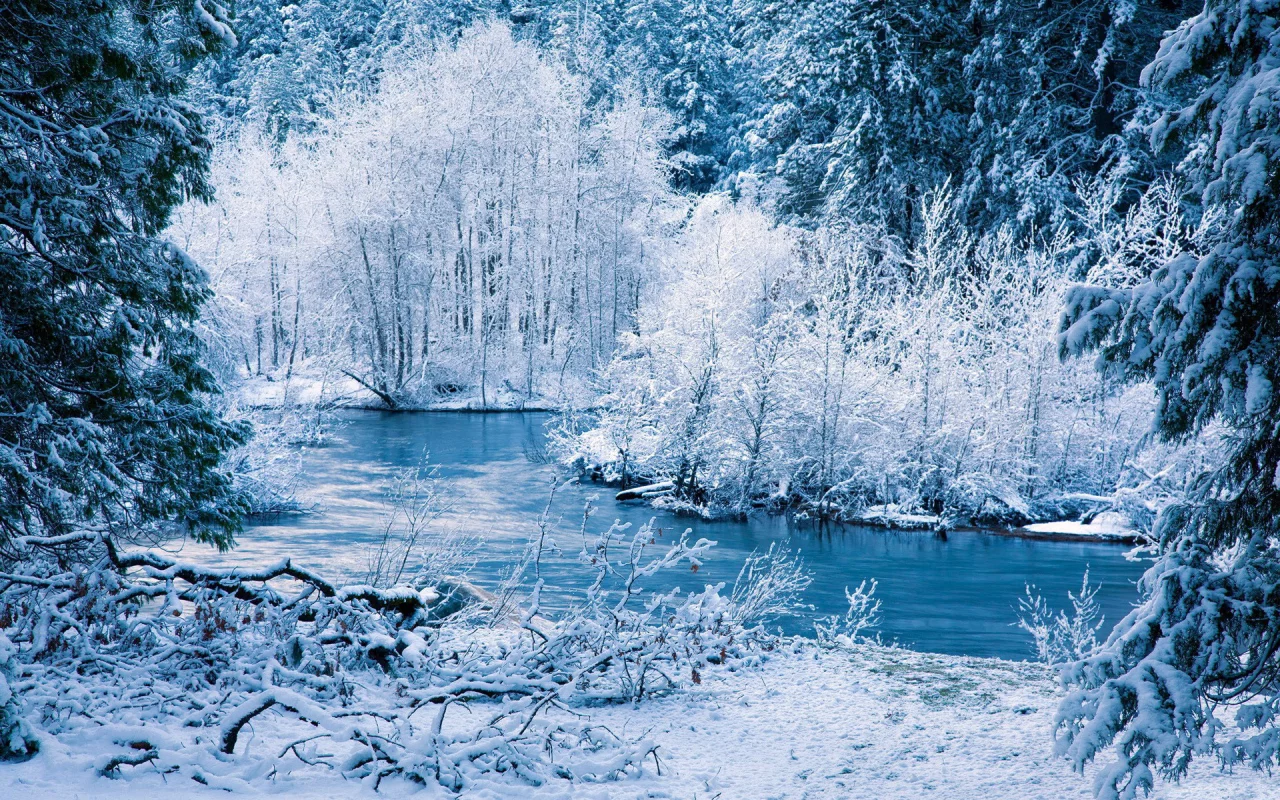 деревья, речка, лес, зима, Природа, снег