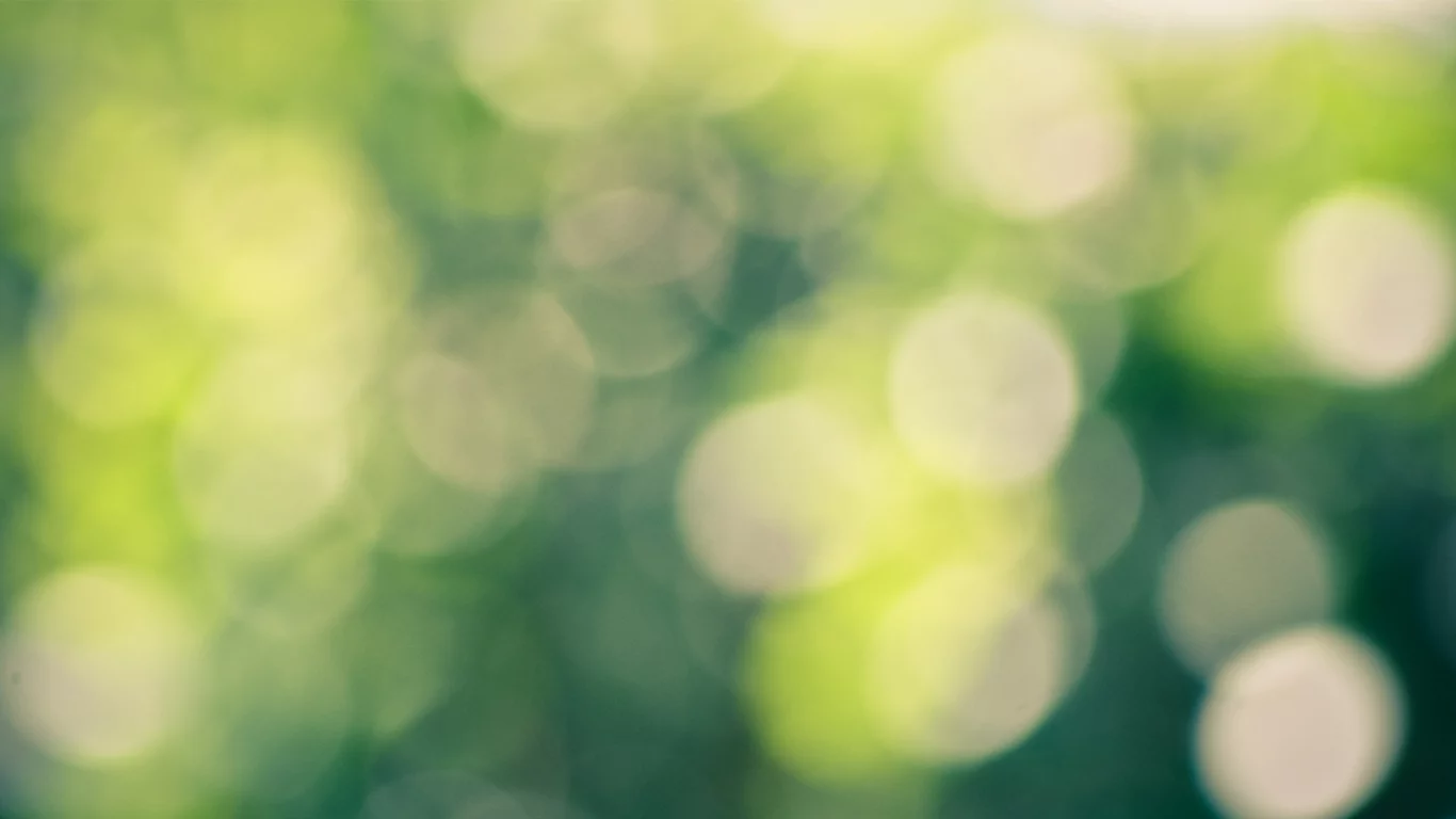 bokeh, блики, Green