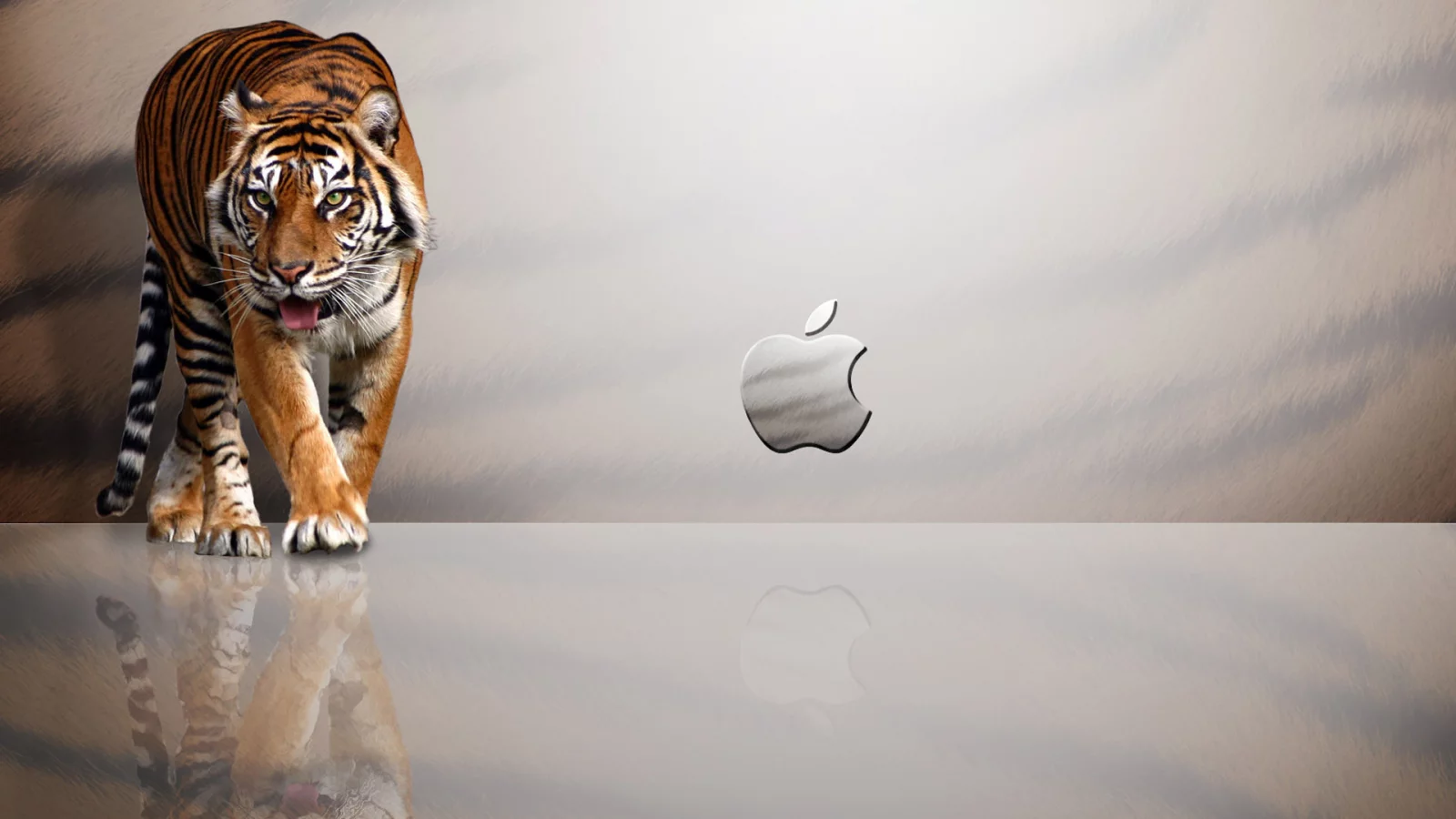 отражение, тигр, Apple