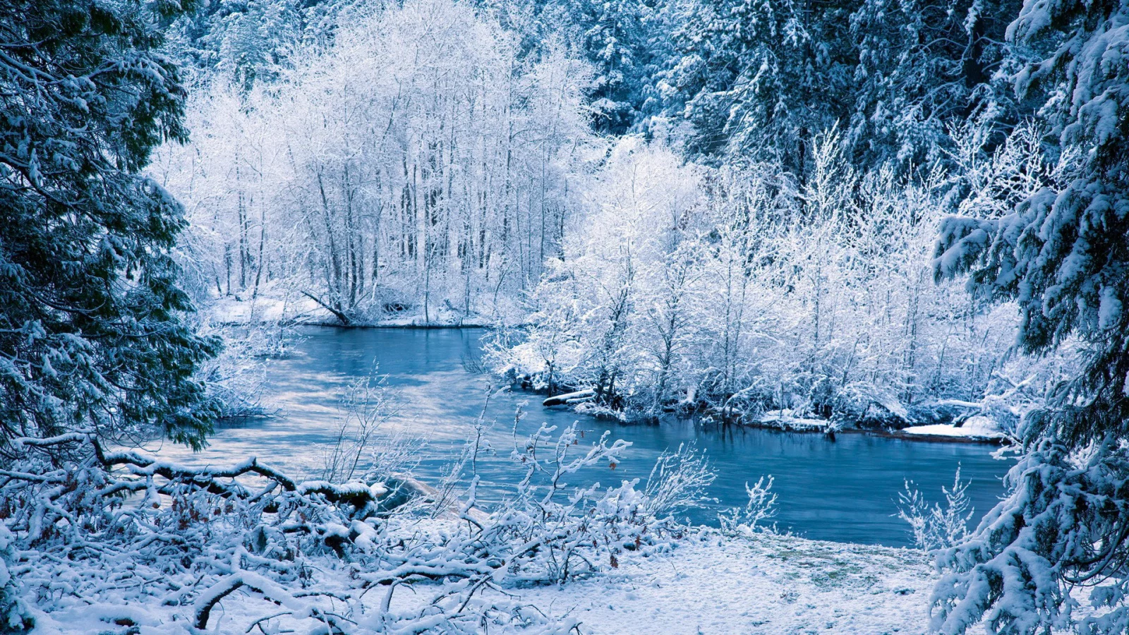 деревья, речка, лес, зима, Природа, снег