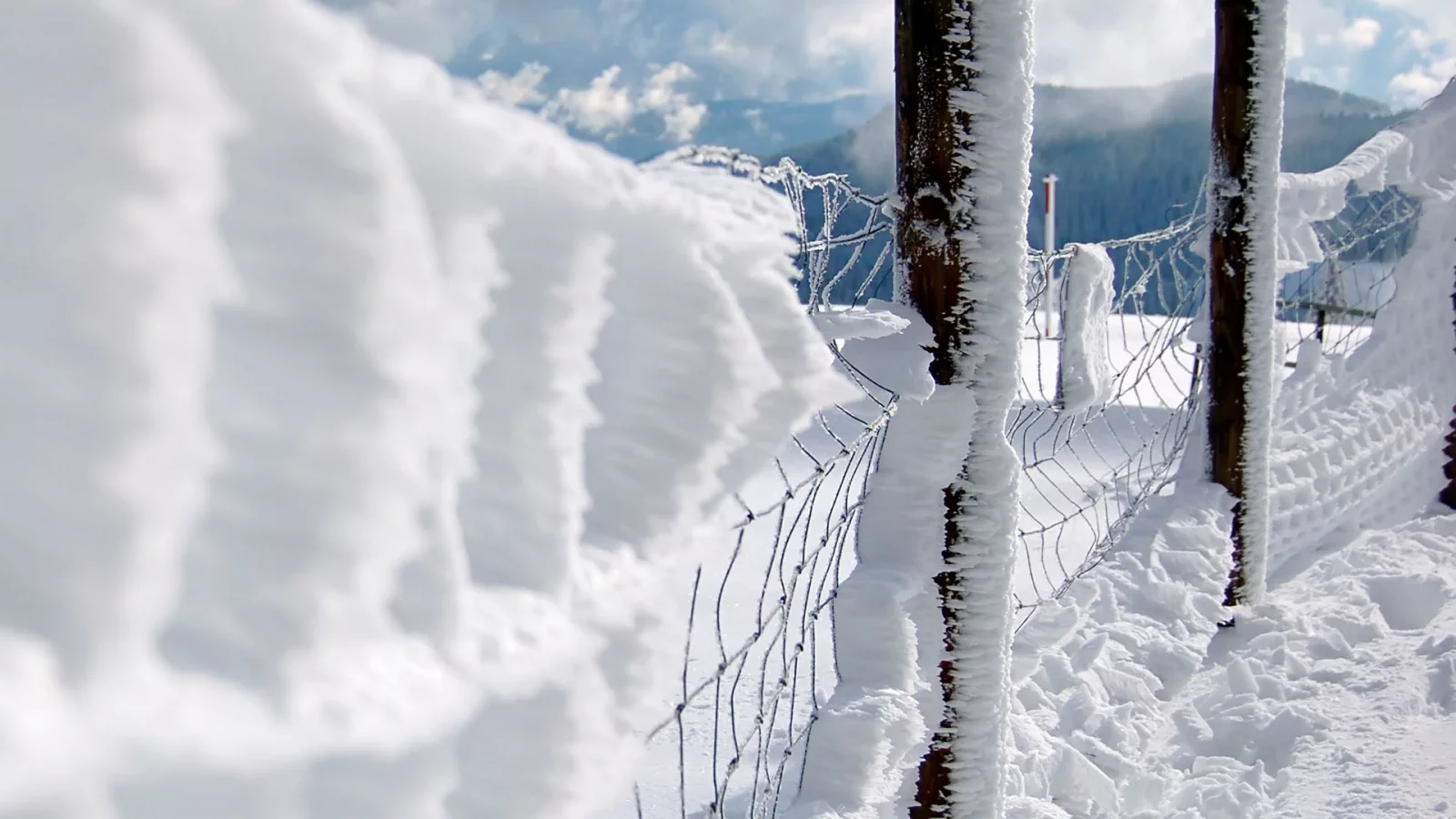 chain link fence, snow, заборы, close-up, fences, снег, макро, забор звено цепи