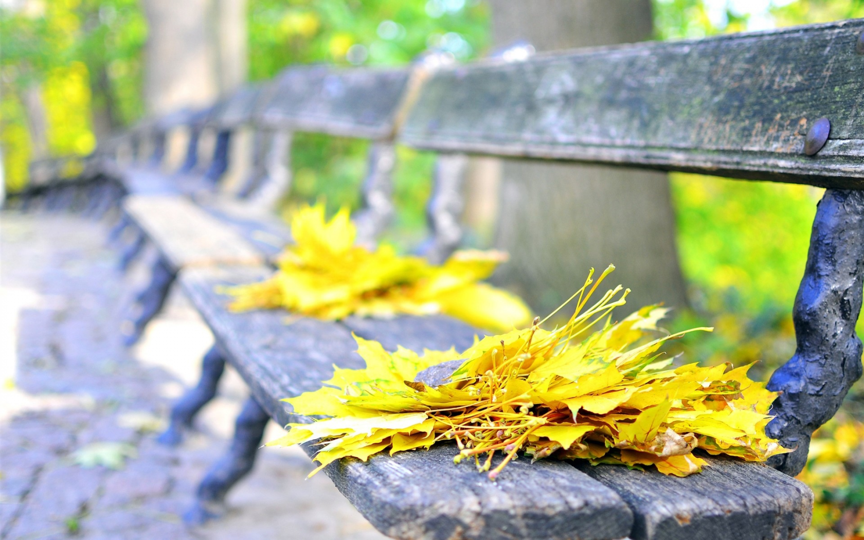Вдруг среди листвы. Осенний сад промокшая скамейка. Осень в парке. Осень скамейка. Осенние листья на скамейке.