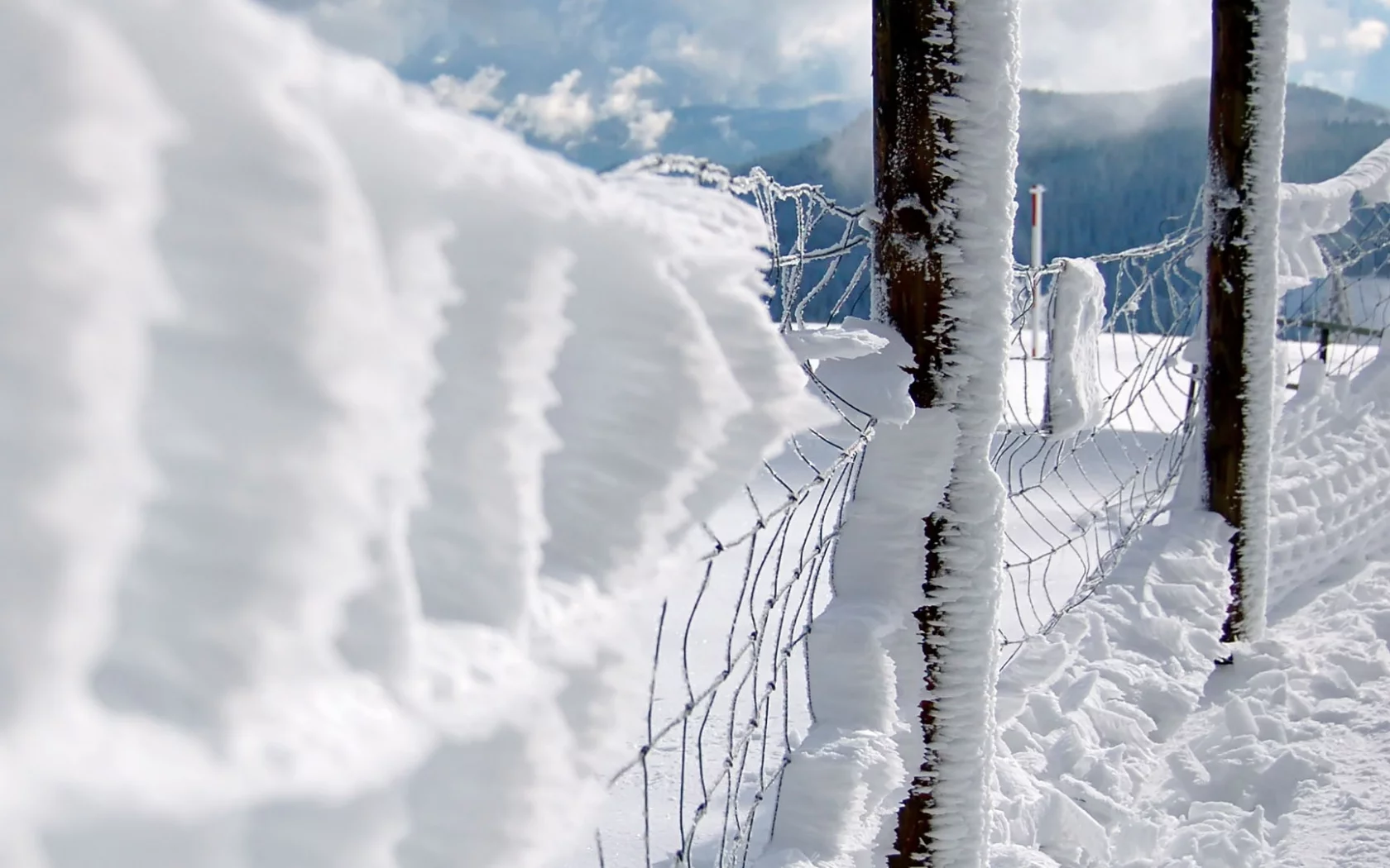 chain link fence, snow, заборы, close-up, fences, снег, макро, забор звено цепи
