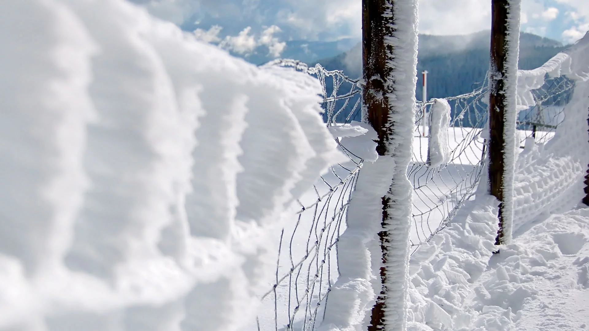 chain link fence, snow, заборы, close-up, fences, снег, макро, забор звено цепи