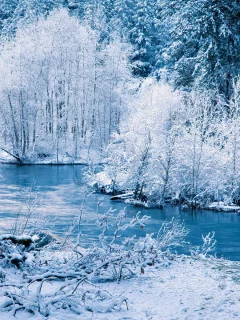 деревья, речка, лес, зима, Природа, снег
