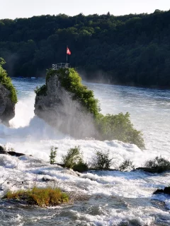 rivers, landscapes, rheinfall, rhein, nature, forest, 