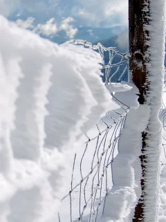 chain link fence, snow, заборы, close-up, fences, снег, макро, забор звено цепи