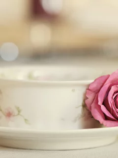 чашка, Elegance, роза