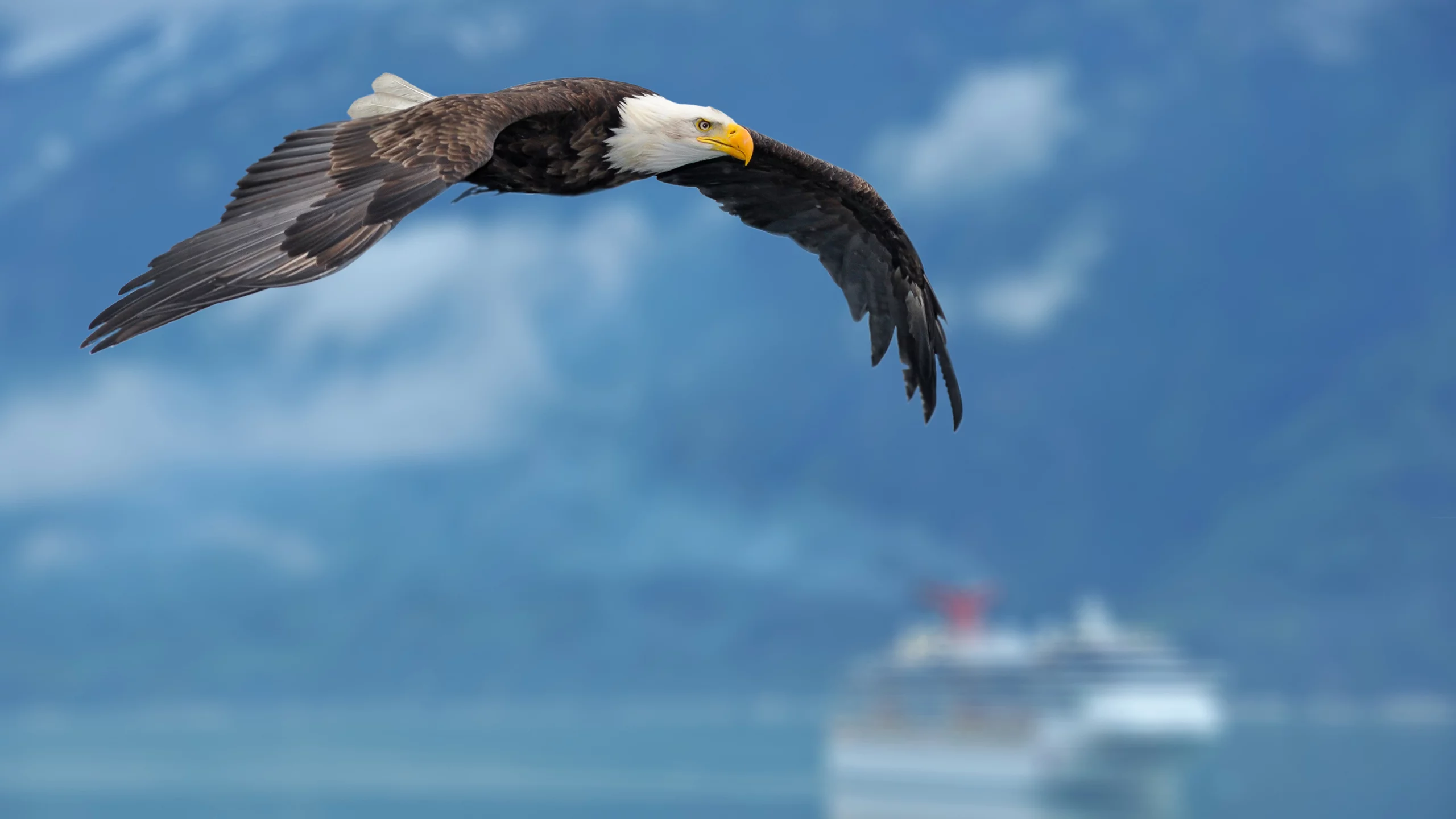 фон, eagle, background, wings, Орел, крылья, корабль, небо, ship, sky