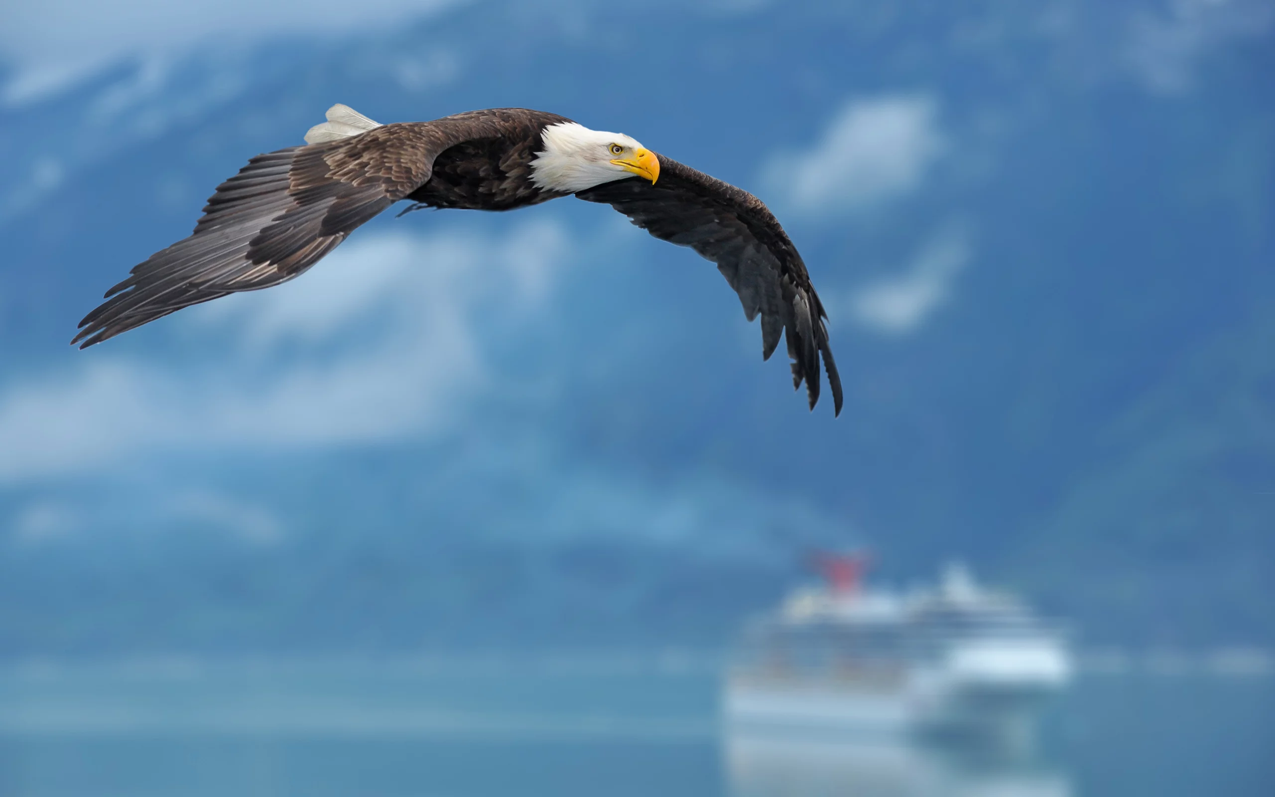 фон, eagle, background, wings, Орел, крылья, корабль, небо, ship, sky